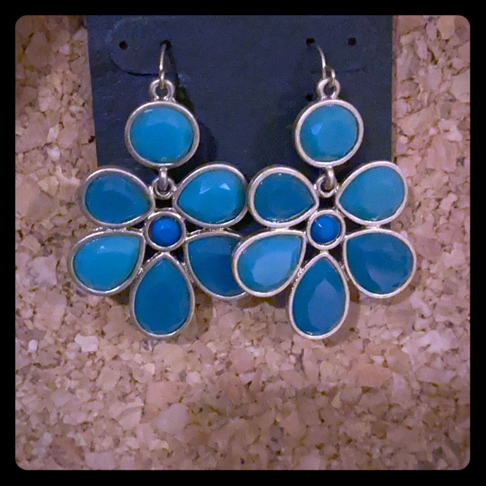 Earrings new
